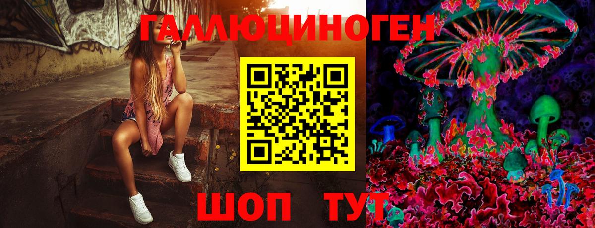 Псилоцибиновые грибы Psilocybe Дедовск