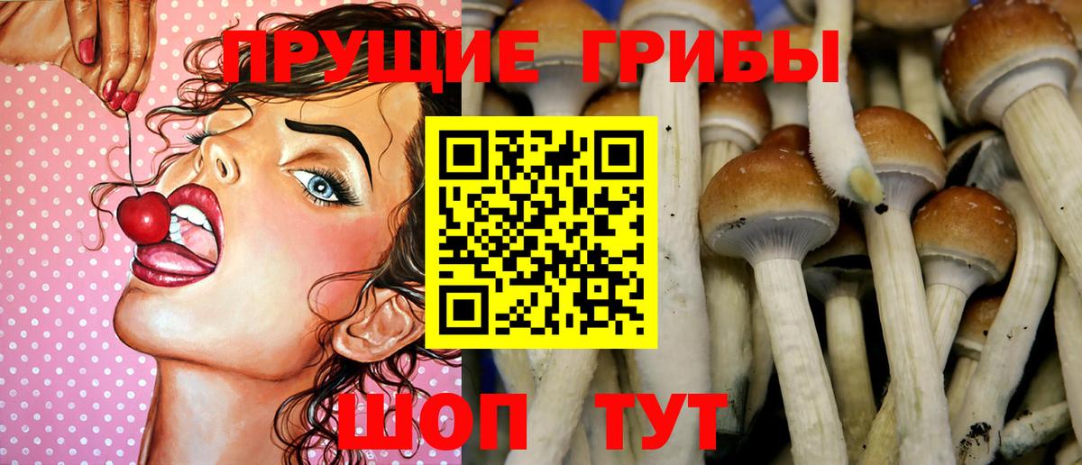 Дедовск  Галлюциногенные грибы мухоморы  Вход с VPN 